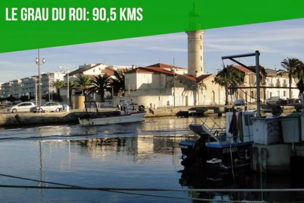 شقة La Cachette De L'Horloge - Ac Clim - Wifi - 100M Palais Des Papes أفينيون المظهر الخارجي الصورة